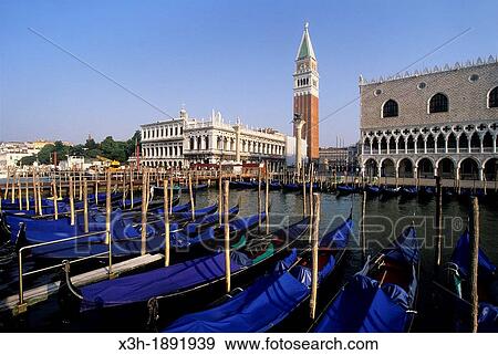 gondolas moored at Riva degli Schiavoni with the Doges Palace and Campanile of San Marco background, Venice, Veneto region, Italy, Europe View Large Photo Image Stock Photo - gondolas moored at Riva degli Schiavoni with the Doges Palace and Campanile of San Marco background, Venice, Veneto region, Italy, Europe. Fotosearch