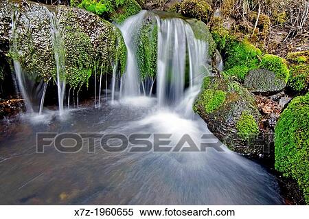 Goose Creek Mountains, Wooden Shoe Creek cascades over mossy boulders and rocks in the Goose Creek Mountains in southern Idaho. View Large Photo Image Stock Photography - Goose Creek Mountains, Wooden Shoe Creek cascades over mossy boulders and rocks in the Goose Creek Mountains in southern Idaho.. Fotosearch