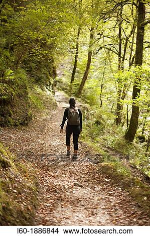 Picture - Gorge of Holtzarte, Pirineos, France. Fotosearch
