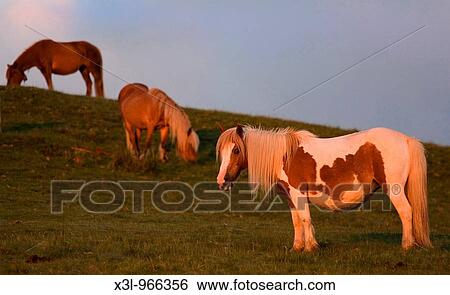 Stock Photograph - Gorramendi mountain Navarre Spain. Fotosearch