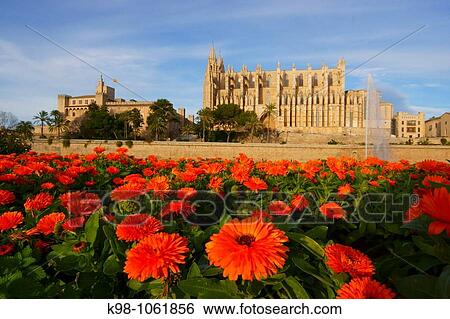 Stock Photograph - Gothic cathedral, Palma de Mallorca. Majorca, Balearic Islands, Spain. Fotosearch