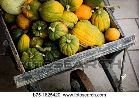 Gourds View Large Photo Image Stock Image - Gourds. Fotosearch