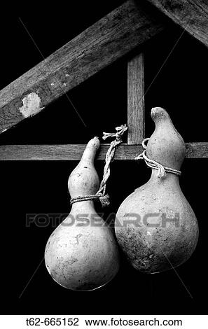 Gourds View Large Photo Image Stock Image - Gourds. Fotosearch
