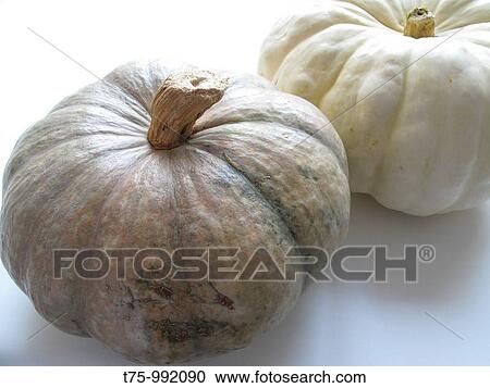 Gourds View Large Photo Image Stock Image - Gourds. Fotosearch