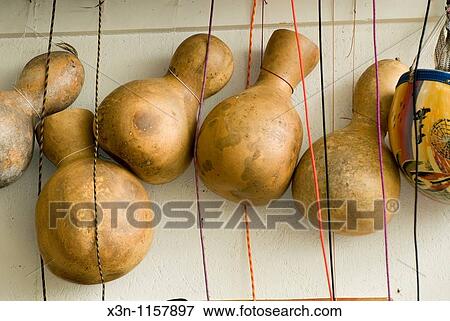 Gourds View Large Photo Image Stock Photo - Gourds. Fotosearch