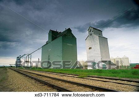 Picture - Grain elevators. Trochu, Alberta, Canada. Fotosearch
