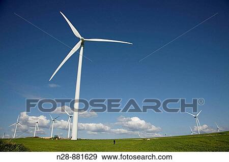 Grain field and wind turbines, Tarifa. Cadiz province, Andalusia, Spain View Large Photo Image Stock Photo - Grain field and wind turbines, Tarifa. Cadiz province, Andalusia, Spain. Fotosearch