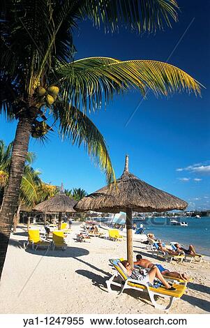 Grand Baie beach, Mauritius Island, Indian Ocean View Large Photo Image Stock Photography - Grand Baie beach, Mauritius Island, Indian Ocean. Fotosearch