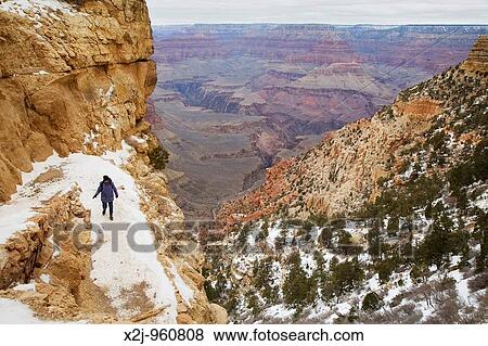 Grand Canyon National Park, Arizona - Susan Newell, 59, descends the South Kaibab Trail in the Grand Canyon in winter MR View Large Photo Image Stock Photo - Grand Canyon National Park, Arizona - Susan Newell, 59, descends the South Kaibab Trail in the Grand Canyon in winter MR. Fotosearch