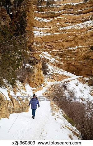 Grand Canyon National Park, Arizona - Susan Newell, 59, hikes on the South Kaibab Trail in the Grand Canyon in winter MR View Large Photo Image Stock Photo - Grand Canyon National Park, Arizona - Susan Newell, 59, hikes on the South Kaibab Trail in the Grand Canyon in winter MR. Fotosearch