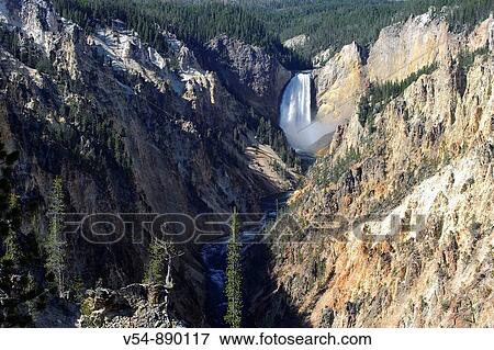 Grand Canyon of the Yellowstone and Yellowstone Falls, Yellowstone National Park, Wyoming, USA View Large Photo Image Stock Photo - Grand Canyon of the Yellowstone and Yellowstone Falls, Yellowstone National Park, Wyoming, USA. Fotosearch