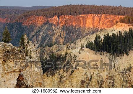Grand Canyon of the Yellowstone, Yellowstone NP, Wyoming, USA View Large Photo Image Stock Image - Grand Canyon of the Yellowstone, Yellowstone NP, Wyoming, USA. Fotosearch
