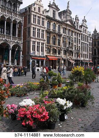 grand place, bruxelles, belgium View Large Photo Image Stock Image - grand place, bruxelles, belgium. Fotosearch