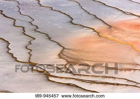 Grand Prismatic hot spring, Yellowstone National Park, Montana, USA View Large Photo Image Stock Photo - Grand Prismatic hot spring, Yellowstone National Park, Montana, USA. Fotosearch