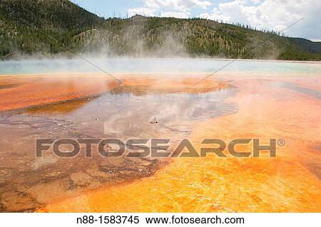 Stock Photography - Grand Prismatic Spring, Yellowstone, Wyoming, USA. Fotosearch