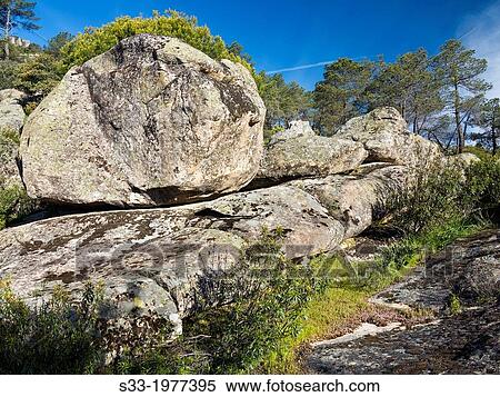 Stock Photography - Granite and pines in Valdelavieja. Cadalso de los Vidrios. Madrid. Spain.. Fotosearch