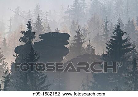 Granite rocks and spruce forest in fog, late autumn, Fichtelgebirge, Bavaria, Germany View Large Photo Image Stock Image - Granite rocks and spruce forest in fog, late autumn, Fichtelgebirge, Bavaria, Germany. Fotosearch