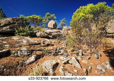 Granito y pinos en La Pea Muana Cadalso de los V? drios Madrid View Large Photo Image Stock Photograph - Granito y pinos en La Pea Muana Cadalso de los V? drios Madrid. Fotosearch