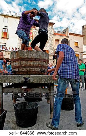 Stock Photograph - grape stomping, Varema? 12 Celebrations, Verdu, Catalonia, Spain. Fotosearch