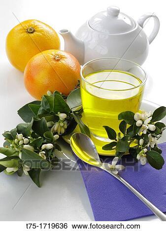 Grapefrut infusion View Large Photo Image Stock Photograph - Grapefrut infusion. Fotosearch