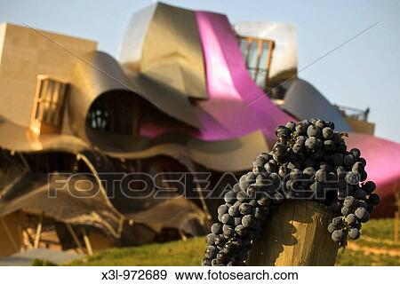 Grapes Hotel winery building Elciego, Alava, Euskadi, Spain View Large Photo Image Stock Photo - Grapes Hotel winery building Elciego, Alava, Euskadi, Spain. Fotosearch