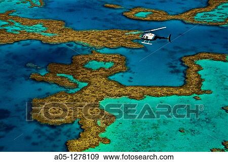 Great Barrier Reef Queensland AUSTRALIA. View Large Photo Image Stock Photo - Great Barrier Reef Queensland AUSTRALIA.. Fotosearch