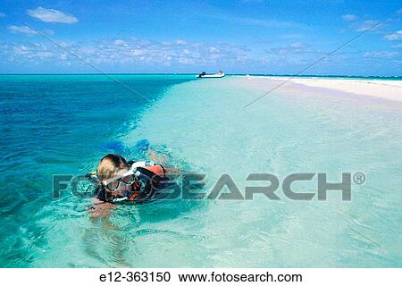 Great Barrier reef. Queensland. Australia. View Large Photo Image Stock Image - Great Barrier reef. Queensland. Australia.. Fotosearch
