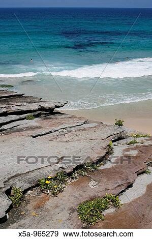 Great Ocean, Australia View Large Photo Image Stock Photo - Great Ocean, Australia. Fotosearch