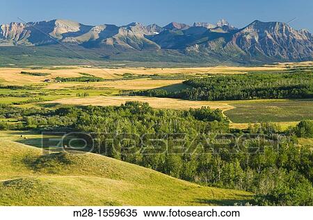Great Plains prairie meeting the Rocky Mountains at Waterton Lakes National Park, Alberta, Canada View Large Photo Image Stock Photography - Great Plains prairie meeting the Rocky Mountains at Waterton Lakes National Park, Alberta, Canada. Fotosearch
