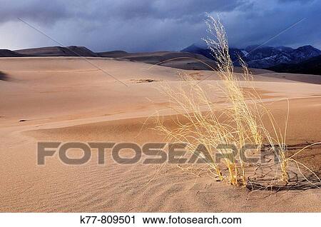 Stock Image - Great Sand Dunes National Park in winter. Colorado, USA.. Fotosearch