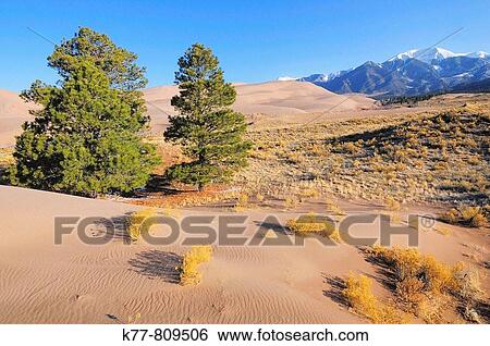Great Sand Dunes National Park in winter. Colorado, USA. View Large Photo Image Stock Photograph - Great Sand Dunes National Park in winter. Colorado, USA.. Fotosearch