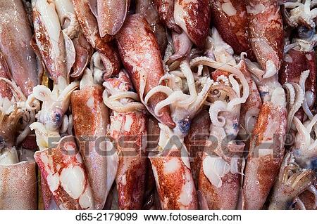 Greece, Central Greece Region, Athens, Central Market, squid. View Large Photo Image Stock Photo - Greece, Central Greece Region, Athens, Central Market, squid.. Fotosearch