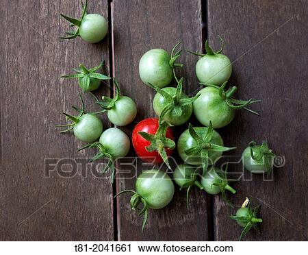 Green and red cherry tomatoes on wooden table View Large Photo Image Stock Image - Green and red cherry tomatoes on wooden table. Fotosearch