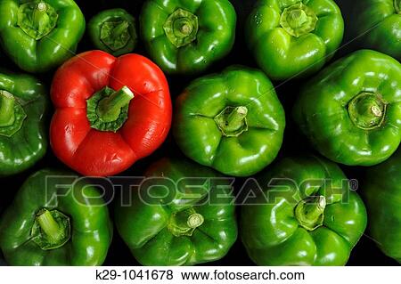 Stock Photo - Green and red peppers. Fotosearch