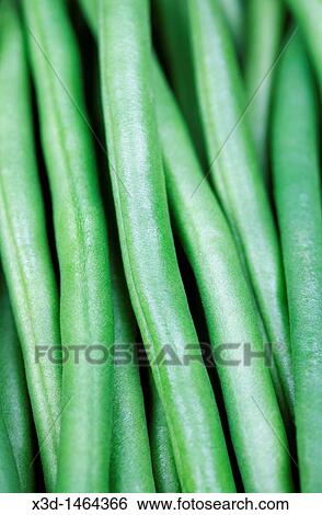 Green Beans Phaseolus vulgaris View Large Photo Image Stock Photograph - Green Beans Phaseolus vulgaris. Fotosearch