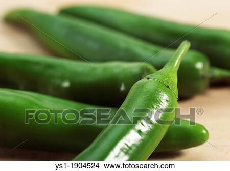 Picture - Green Chili Pepper, capsicum annuum. Fotosearch