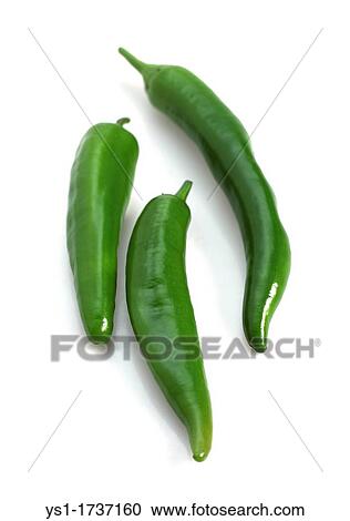 Green Chili Pepper, capsicum annuum View Large Photo Image Stock Image - Green Chili Pepper, capsicum annuum. Fotosearch