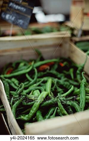 Stock Photography - Green chillies. Market in Bordeaux. Gironde. Aquitaine. France. Europe.. Fotosearch
