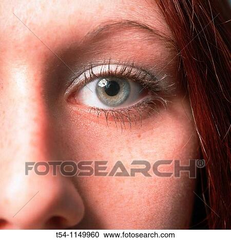 Green Eye of a young Woman View Large Photo Image Stock Image - Green Eye of a young Woman. Fotosearch
