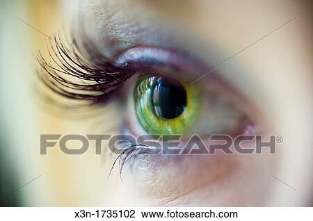 Green eye with long lashes View Large Photo Image Stock Image - Green eye with long lashes. Fotosearch