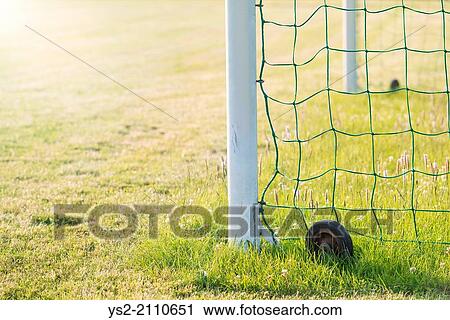 Green grass and goal post on a football (soccer) field. View Large Photo Image Stock Image - Green grass and goal post on a football (soccer) field.. Fotosearch