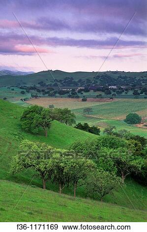 Stock Photo - Green hills in spring and fog at sunset along Foxen Canyon Road, Santa Barbara County, California. Fotosearch