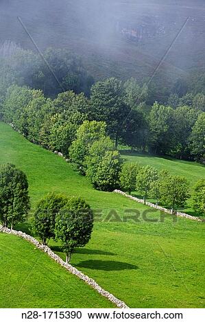 Green mountain landscape in las Mazorras Burgos Castilla Leon Spain. View Large Photo Image Stock Image - Green mountain landscape in las Mazorras Burgos Castilla Leon Spain.. Fotosearch
