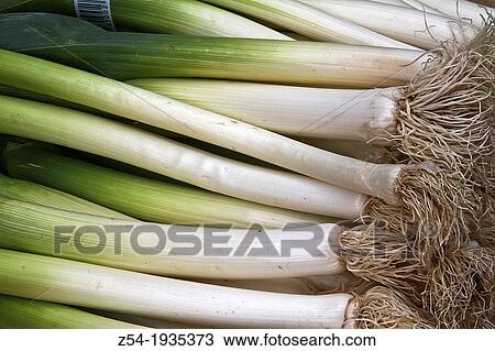 Green onions for sale in a street market, Spain View Large Photo Image Stock Image - Green onions for sale in a street market, Spain. Fotosearch