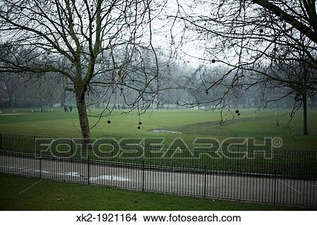 Green Park, London, UK View Large Photo Image Picture - Green Park, London, UK. Fotosearch