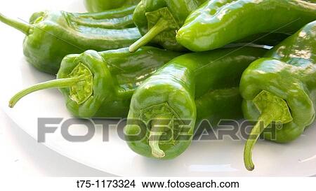 Picture - Green pepper. Fotosearch