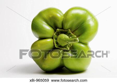Stock Photo - Green pepper. Fotosearch