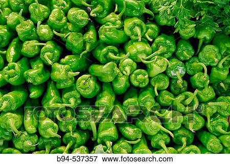 Green peppers at La Boquer? a market, Barcelona. Catalonia, Spain View Large Photo Image Stock Photo - Green peppers at La Boquer? a market, Barcelona. Catalonia, Spain. Fotosearch