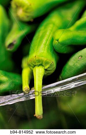 Green peppers at La Boqueria market, Barcelona. Catalonia, Spain View Large Photo Image Stock Image - Green peppers at La Boqueria market, Barcelona. Catalonia, Spain. Fotosearch