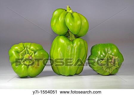 Green peppers View Large Photo Image Stock Image - Green peppers. Fotosearch